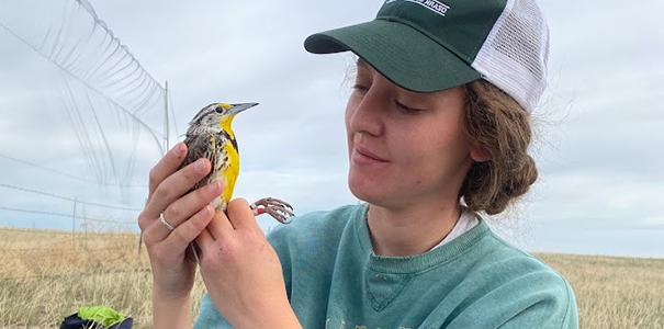 Leah Crenshaw holding a western meadowlark.