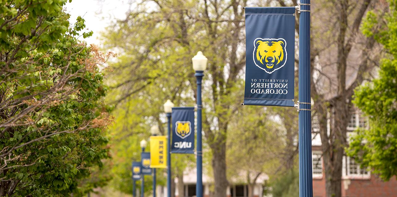 A row of blue 和 gold banners hanging on outdoor light pole with UNC name 和 Bear logo on them.