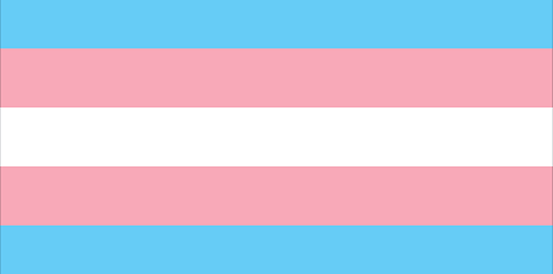 Transgender flag